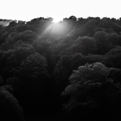 Le tribunal reconnaît les efforts de l&rsquo;Etat pour le climat dans l&rsquo;affaire du siècle