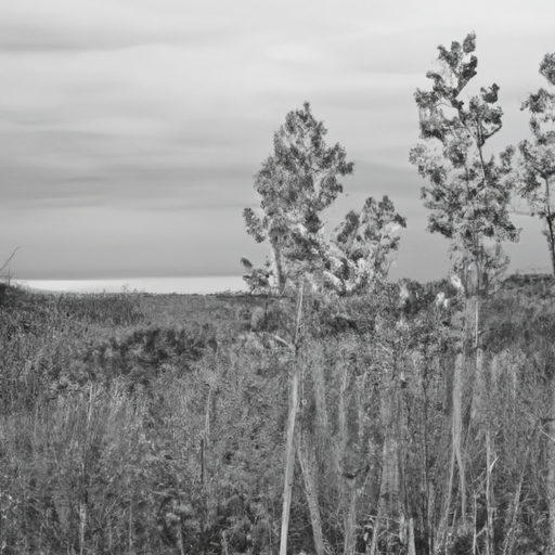 Les ménages et les entreprises français investissent massivement dans la transition écologique, franchissant la barre des 100 milliards d&rsquo;euros