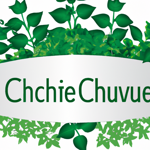 Le ministre de la Transition écologique, Christophe Béchu, étend son champ de compétences dans le gouvernement Attal