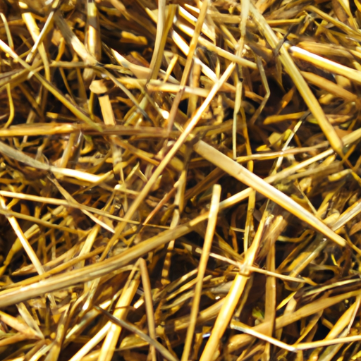 Gabriel Attal face à l&rsquo;amour perdu des agriculteurs : un baptême du foin mouvementé